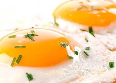 طرز تهیه انواع غذا با تخم مرغ؛ 10 غذای سریع و خوشمزه